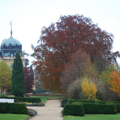 Podzim na zámku