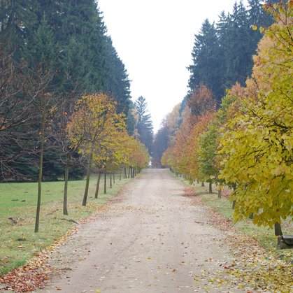 Zámecký park