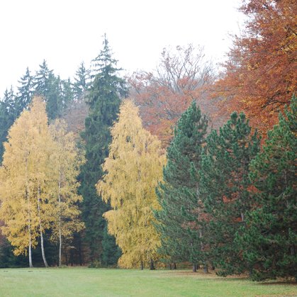 Zámecký park