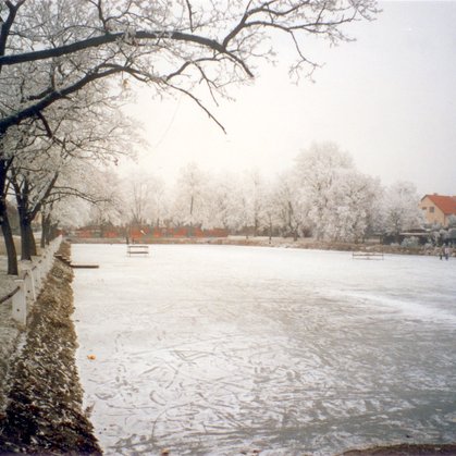 17 - Židovský rybník II.