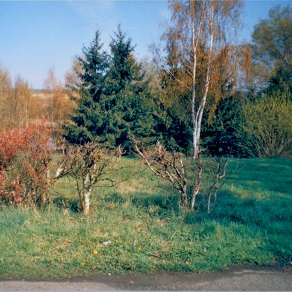 50 - Vašírov