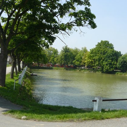 51 - Lánský rybník