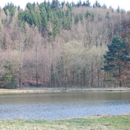 79 - Pánovka=Oáza klidu
