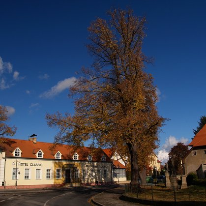 82 - velikán na návsi