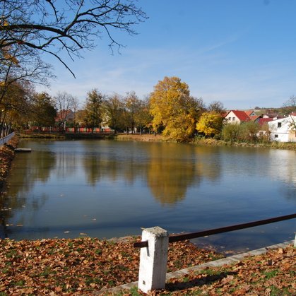 Židovský rybník