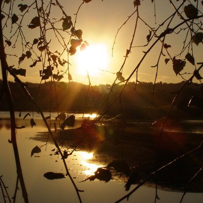 46. Západ nad rašelinou