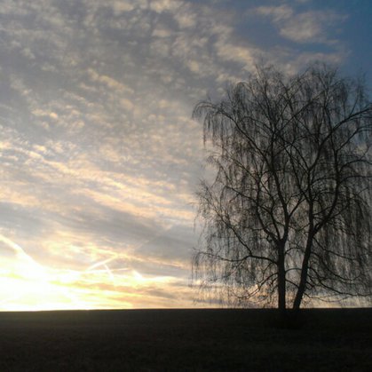 48. Západ slunce a vrba